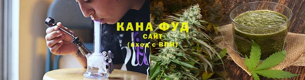 крисы Горняк